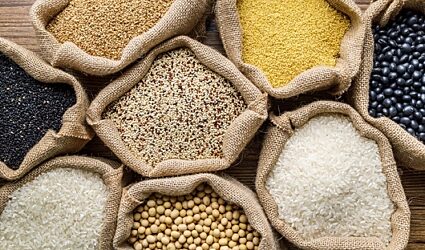 Bags of feed, grain and other material conveyed in food industry