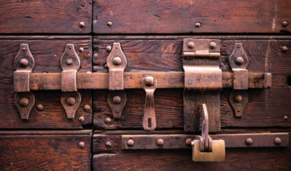 ACS Valves Shaft Seal