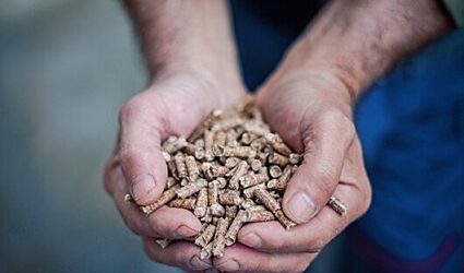 Cupped hands holding a handful of processed woodchips