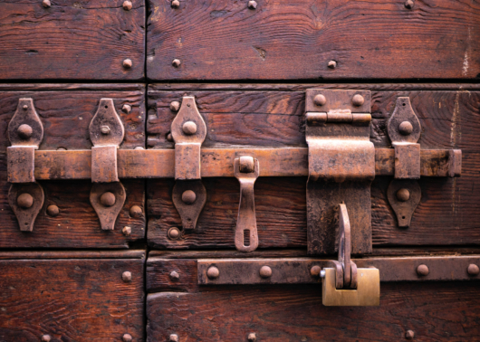 ACS Valves Shaft Seal