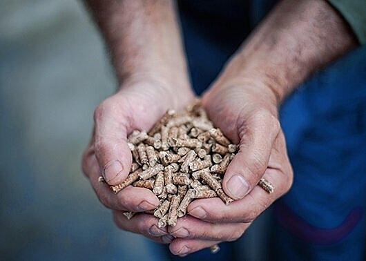 Cupped hands holding a handful of processed woodchips
