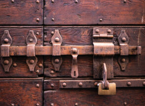 ACS Valves Shaft Seal