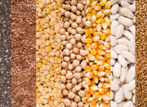 Different types of bulk grains ACS Valves