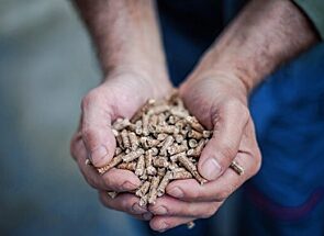 Cupped hands holding a handful of processed woodchips