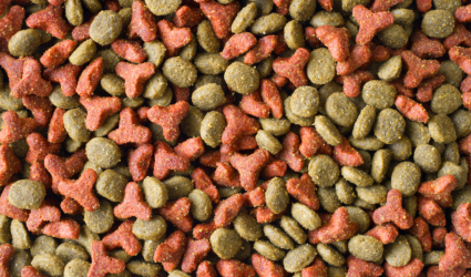 Close-up of dry pet food