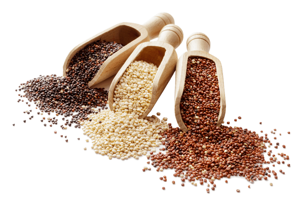 Three scoops with grains spilling out